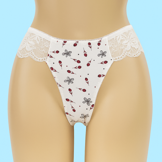 Sophia culotte arrière dentelle lot de 6